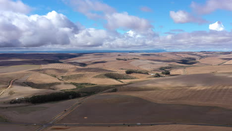 Endlose-Getreidefelder-In-Südafrika,-Luftaufnahme,-Blauer-Himmel-Mit-Wolken
