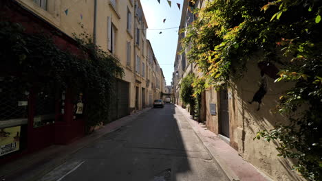 Street-in-Montpellier-with-vegetation-on-buildings-city-center-France