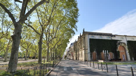 Old-city-of-Montpellier-empty-street-with-big-trees-sunny-day-France