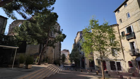 Slow-motion-Montpellier-street-with-trees-spring-sunny-day-lockdown