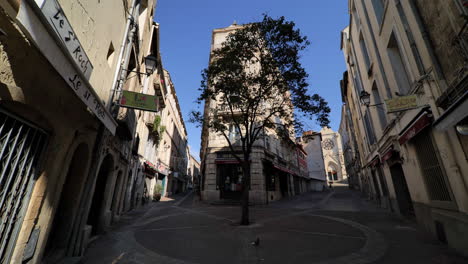 Baum-Im-Schatten-Auf-Einem-Platz-In-Der-Zeit-Der-Pandemie-Am-Blauen-Himmel-Von-Montpellier