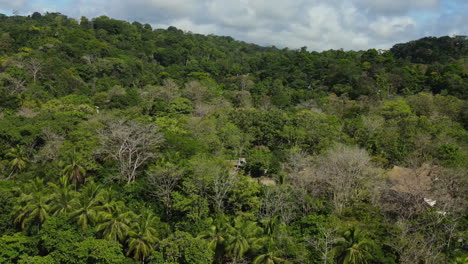 Luftaufnahme-Der-Bewaldeten-Hügel-Costa-Ricas,-Die-Auf-Eine-Zerklüftete-Küste-Treffen.