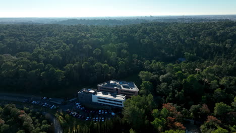 Lush-tree-canopy-of-Montpellier-with-contrasting-architectural-presenc