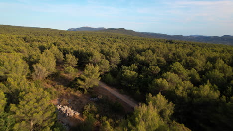 Luftaufnahme-Der-Natürlichen-Schönheit-Frankreichs,-Sonnenuntergang-über-Einem-Wald-Mit-Feldweg