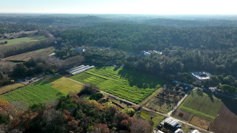 Overhead-shot-capturing-Montpellier's-mixed-urban-and-natural-landscapes