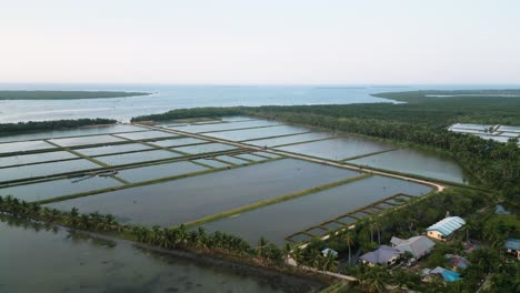 Milkfish-pond-reservoirs-and-local-buildings-near-seaside,-Philippines