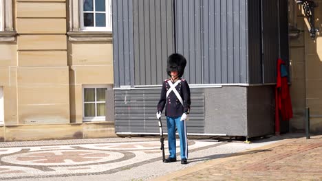 Motionless-armed-royal-Danish-guard-outside-the-Amalienborg-Palace