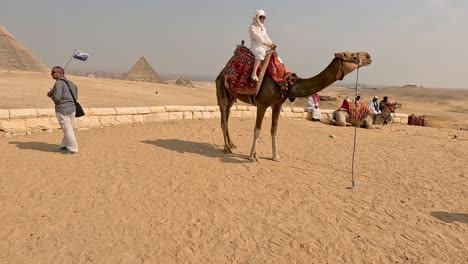 Una-Mujer-Posa-Encima-De-Un-Camello-Mientras-El-Guía-Turístico-Sostiene-La-Bandera-En-Las-Famosas-Pirámides