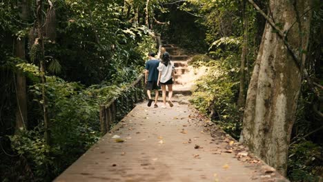 Walking-through-beautiful-tropical-jungle
