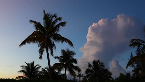 Static-shot-of-an-early-morning-beach-scene-on-Exuma-in-the-Bahamas