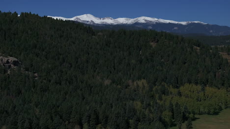 Filmische-Luftdrohne,-Offener-Raum,-Erster-Schnee-Auf-Dem-Mount,-Blauer-Himmel,-Evans-14er-Peak,-Frühe-Espenkiefer,-Früher-Herbst,-Wunderschöner-Blauer-Vogel,-Klarer-Morgen,-Colorado-Rocky-Mountains,-Nach-Oben-Schwenken,-Bewegung-Offenbaren