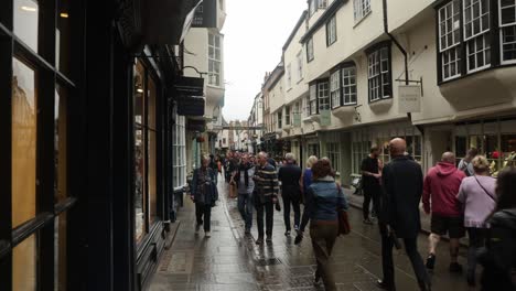 Hand-held-shot-of-tourists-admiring-the-antique-and-historical-city-of-York