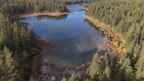 Gelassenheit-Aus-Der-Luft:-Entdecken-Sie-Die-Natürliche-Schönheit-Des-McQueen-Lake-In-British-Columbia,-Umgeben-Von-Unberührtem-Fichtenwald