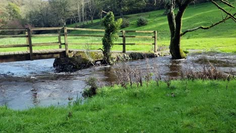 Overflowing-burst-riverbank-flooding-sunlit-saturated-North-Wales-meadow-under-wooden-bridge-crossing