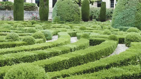 4k-slow-moving-shot-through-well-trimmed-lush-green-maze-garden-in-front-of-old-italian-manor-lodge-house