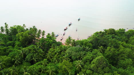 Passenger-boats-tied-up-to-shore-at-the-coast-of-Koh-Lanta-surrounded-by-palm-trees,-aerial-orbital