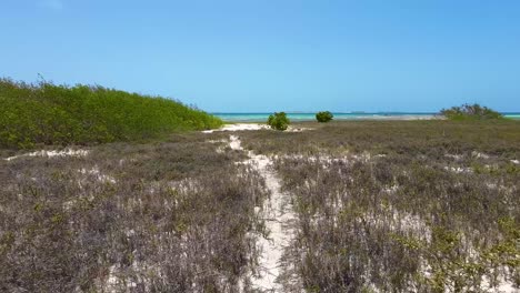 POV-walking-along-a-sandy-path-to-stunning-lonely-caribbean-beach-paradise,-Los-Roques