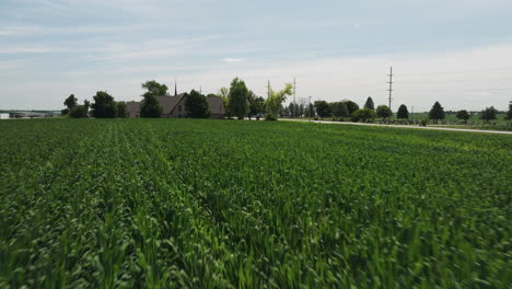 Immergrüne-Maisfelder-In-Der-Nähe-Eines-Ländlichen-Dorfes-Im-Sommer-In-Iowa,-Vereinigte-Staaten