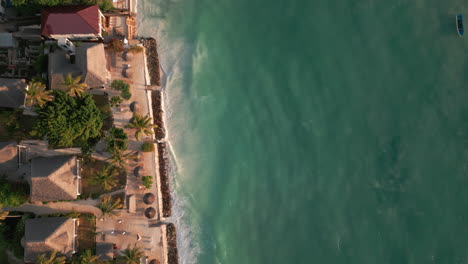 Aerial-shot-of-thatched-roof-bungalows-by-Zanzibar-shore