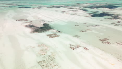 Aerial-view-of-seaweed-cultivation-patches-in-tropical-water