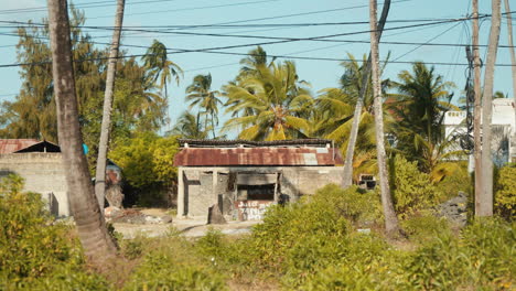 Ein-Rustikales,-Heruntergekommenes-Gebäude-Mit-Einem-Verrosteten-Blechdach-Inmitten-Tropischer-Vegetation