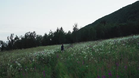 Person-Inmitten-Wilder-Blumenfelder-Während-Des-Sonnenuntergangs