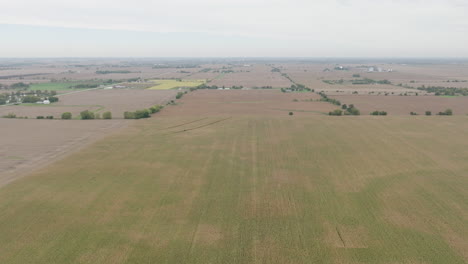 Hectares-of-land-at-the-farm-used-as-cornfields,-aerial-track-shot-high-altitude
