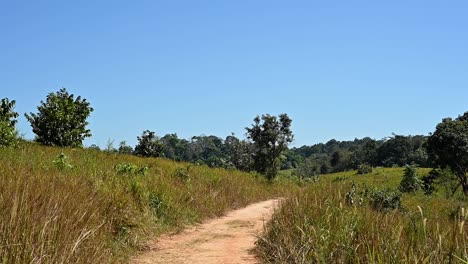 Nationalpark-Khao-Yai,-Thailand