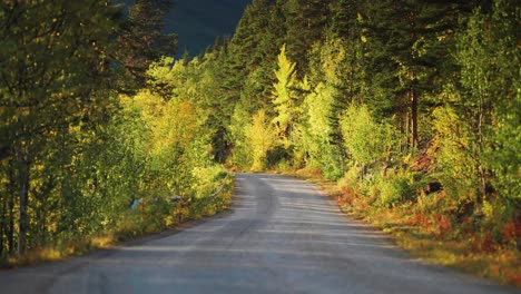 Narrow-rural-road-in-the-autumn-landscape