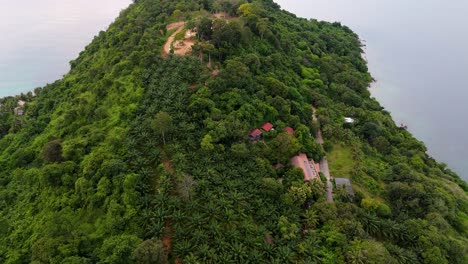 Drone-flight-over-a-tropical-forest-in-the-mountain-with-green-palms,-houses-and-trees-in-4K-on-Phuket-island,-in-the-background-is-the-coast-and-the-ocean