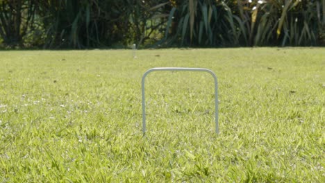 A-croquet-ball-rolling-through-a-hoop-on-short-grass
