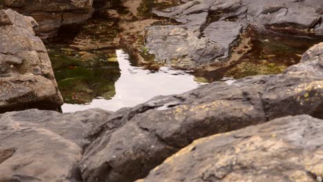 Nahaufnahmen-Eines-Felsenbeckens-Bei-Ebbe,-Mousehole-Cornwall