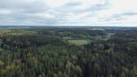 Country-road-follows-natural-meadow-in-Finland-boreal-forest,-aerial