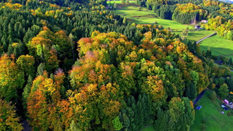 Aerail-shot-capturing-the-autumn-tress-in-a-patch-of-dense-forest-panning-left-to-right-in-Attersee-Austria