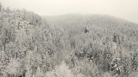 Moody-forest-in-winter---drone-aerial-reveal-of-medium-ski-jump