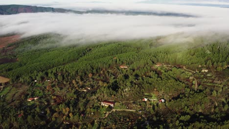 Drone-shot-of-sun-drenched-hilly-landscape-with-rolling-mist-and-forest