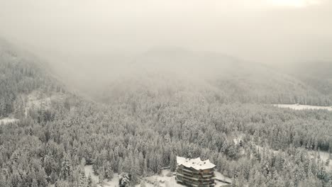 Fesselnde,-Kühle,-Stimmungsvolle-Drohnenantenne-über-Dem-Mit-Wolken-Bedeckten-Winterwald