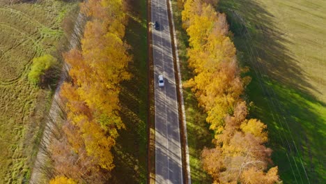 Top-Down-Beautiful-Autmn-Road-with-passing-cars
