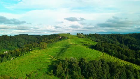 Stunning-drone-footage-of-vineyard-covered-hills-in-the-heart-of-Prlekija,-Jeruzalem-Slovenia,-stretching-alongside-a-lush-forest-with-a-backdrop-of-blue-skies