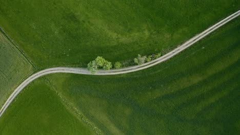 Road-Between-Vast-Fields-In-Warmia,-Poland---aerial-top-down