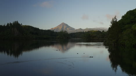 Ducks-swimming-in-Lake-Mangamahoe-with-distant-Mount-Taranaki,-dawn
