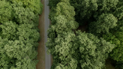 Aerial-view-of-road-passing-through-dense-green-forest-in-Warsaw,Poland
