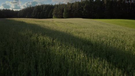 Drone-Shot-Over-Grass-Fields-In-Rural-Warmia,-Poland
