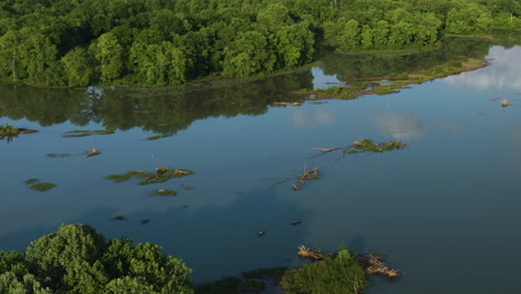Lush-Green-Vegetation-Surrounding-Lake-Sequoyah-In-Arkansas,-USA---aerial-shot