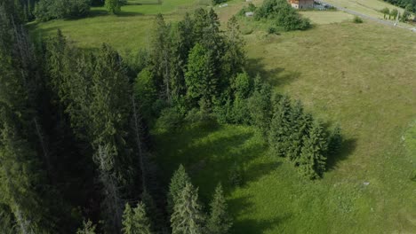 Drohnenantenne-Von-Oben-Nach-Unten-Auf-Traditionelle-Dorfhäuser-Mit-Alpiner-Bergkulisse