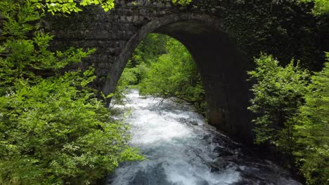 Old-stone-arch-bridge-over-river-in-lush-green-forest