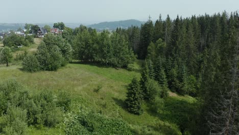 Coniferous-Forest-Mountains-Over-Countryside-Villages-In-Podhale-Region