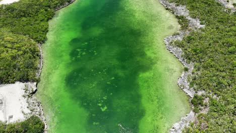 Nach-Unten-Gerichtete-Luftaufnahme-Des-Grünen-Wasserkanals-Auf-Den-Bahamas