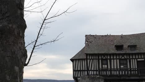 Birds-pigeons-flock-on-top-of-old-french-house-in-countryside,-overcast-cloudy-day