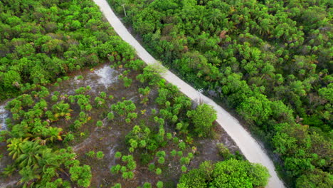 Luftaufnahme-Eines-Schmalen-Weges,-Der-Durch-Das-Natürliche-Biosphärenreservat-Sian-Kaʼan-In-Mexiko,-Quintana-Roo,-Führt